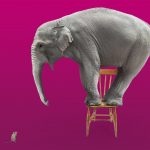 Thinking beyond Rishi’s Riches: how to convince your boss you should attend the National Arts Fundraising School | Elephant on chair, afraid of a mouse